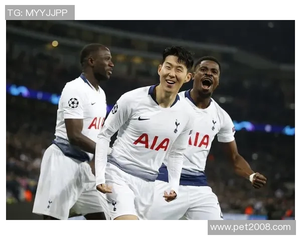 2019年热刺与西布朗激战回顾：精彩瞬间与战术分析