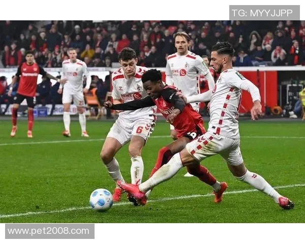 2019年科隆与汉堡激战回顾：一场精彩的德甲对决与战术较量