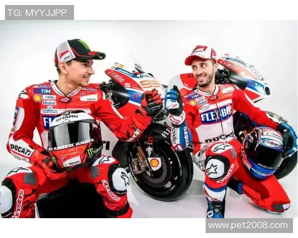 伊朗与阿曼精彩对决视频直播全程回顾与分析