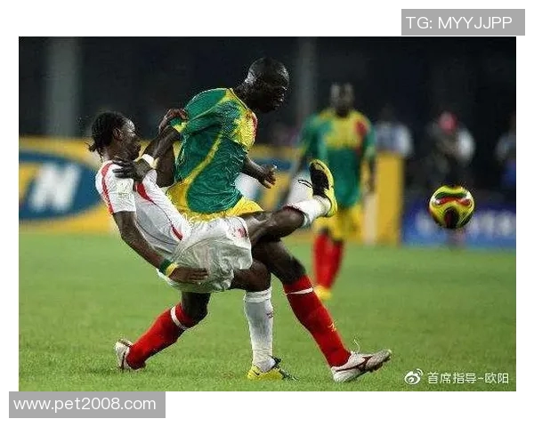 塞内加尔与贝宁足球对决分析及胜负推荐详解