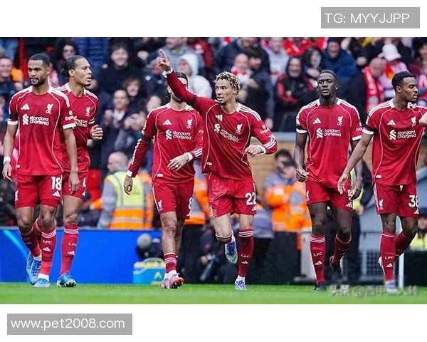 埃弗顿与利物浦激战正酣无插件直播精彩呈现