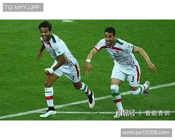 塞帕汉与塞帕的精彩对决分析与历史渊源探讨