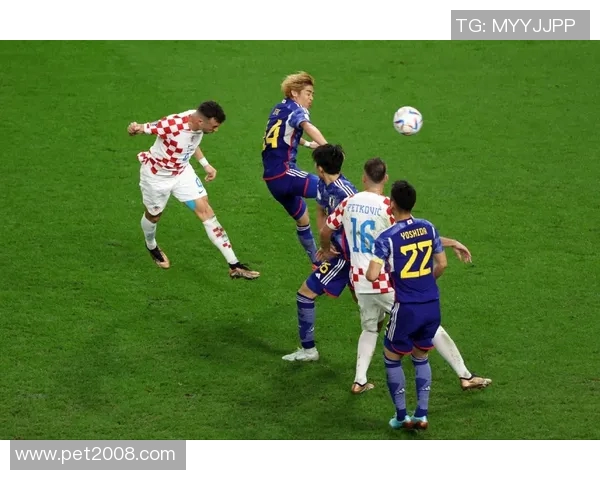 巴西与卡塔尔友谊赛精彩回顾：足球激情碰撞的夜晚