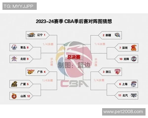 广厦与四川对决分析：战术布局与球员表现全面解读