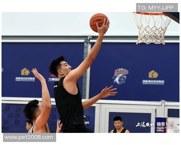 张兆旭：从篮球新星到职业生涯的璀璨轨迹与未来展望