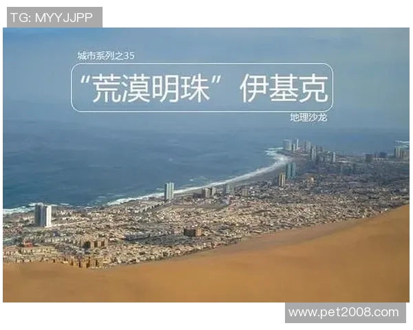 智利天主队与伊基克队的精彩对决即将上演,谁能赢得胜利成为焦点 智利天主队与伊基克队的精彩对决即将上演,谁能赢得胜利成为焦点