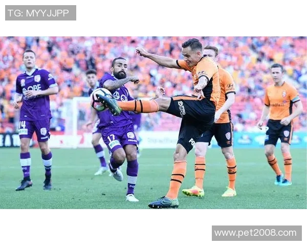 柏斯光荣与切尔西阵容对比分析揭示双方实力差异与战术特点