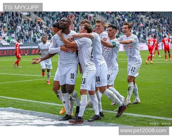 沙尔克与红牛激战正酣谁能在德甲赛场上笑到最后 沙尔克与红牛激战正酣谁能在德甲赛场上笑到最后