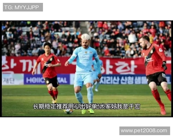 济州联与大邱FC精彩对决直播全程回顾与赛后分析