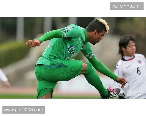 爱媛队与京都队精彩对决直播全程回顾及赛后分析