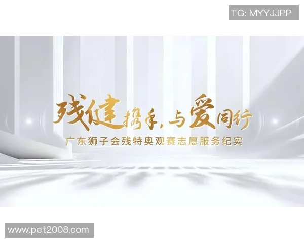 特奥精神传承与发展:助力残疾人融入社会的新篇章 特奥精神传承与发展:助力残疾人融入社会的新篇章