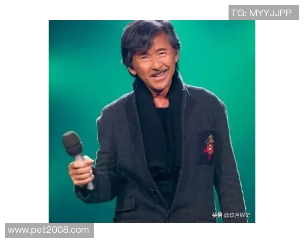 王岚的音乐旅程：从初出茅庐到璀璨星途的成长故事