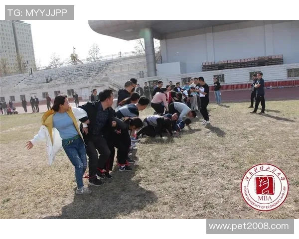 杭州乒乓球队意识提升之路：聚焦团队精神与个人成长的融合探索MBA