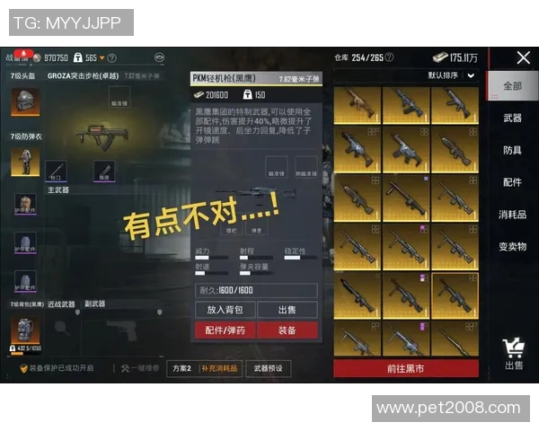 科学和平精英意识训练方法探索与实践的全新视角MBA