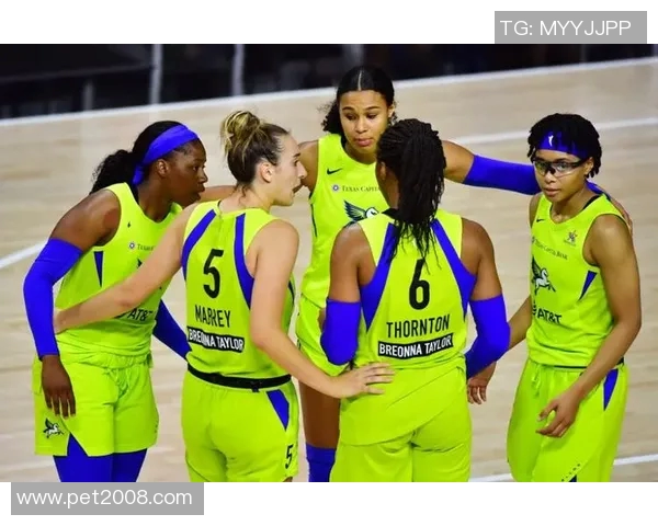 西雅图风暴对决明尼苏达球队的精彩赛况分析与赛后点评 西雅图风暴对决明尼苏达球队的精彩赛况分析与赛后点评