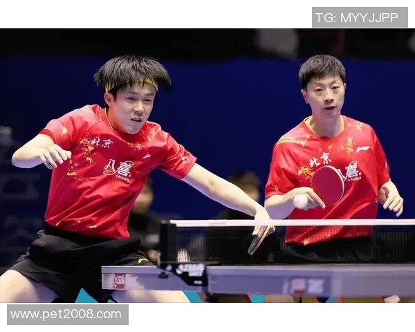 乒乓球灵活性排行榜揭晓上海乒乓球队荣登第十名引关注 乒乓球灵活性排行榜揭晓上海乒乓球队荣登第十名引关注