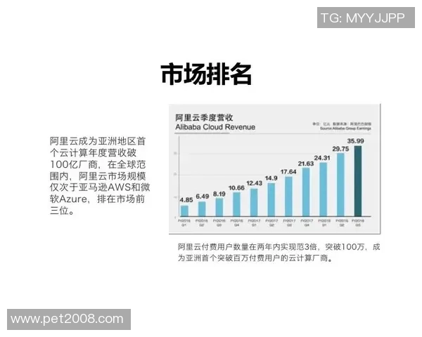 S10SN与JD的全面对比分析谁能在市场竞争中脱颖而出