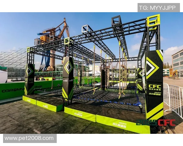 上海极限运动队速度对比深度解析与各队表现评估 上海极限运动队速度对比深度解析与各队表现评估