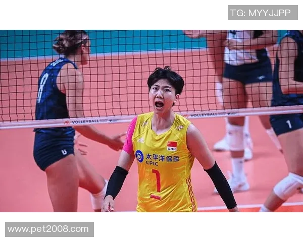 南京排球队的节奏与魅力探索：从训练到比赛的全景分析