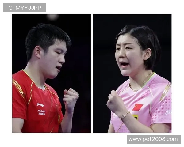 北京羽毛球队逆袭世界杯的辉煌之路与奋斗精神的完美结合MBA