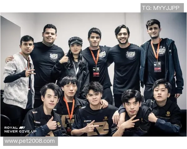 和平精英战术解析：深入探讨RNG战队的团队配合与战略布局