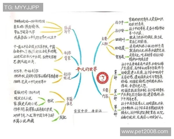 姜宇星的成长之路：从平凡少年到璀璨星辰的奋斗历程与心路历程
