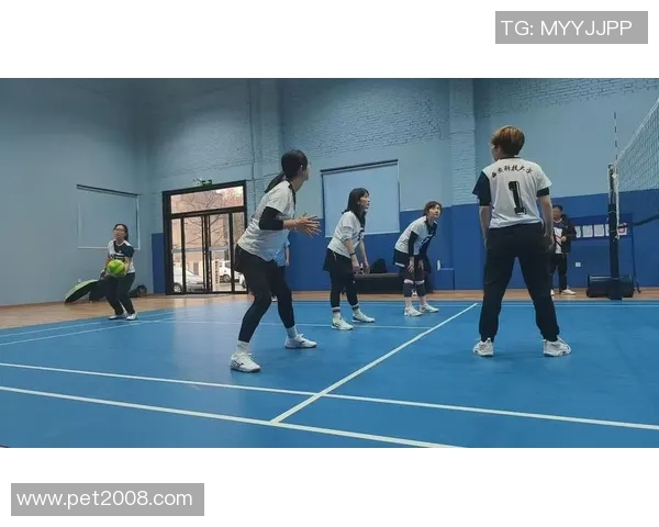 排球专题:深入探讨西安排球队在比赛中的战术意识与团队协作 排球专题:深入探讨西安排球队在比赛中的战术意识与团队协作