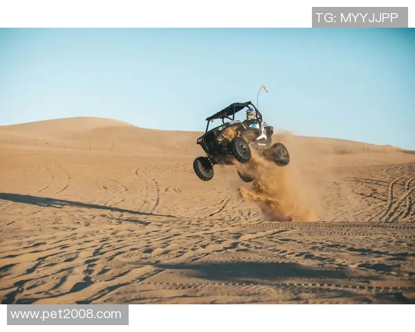 极限运动的魅力与挑战:深入探讨上海极限运动队的边路战术与创新策略 极限运动的魅力与挑战:深入探讨上海极限运动队的边路战术与创新策略