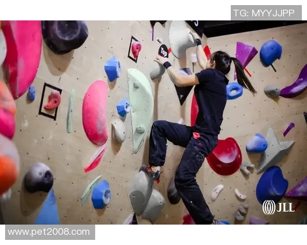 深圳攀岩队在滑板精英赛中的卓越技术表现与精彩瞬间分析