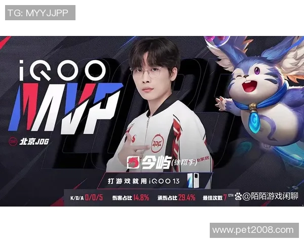 职业联赛特别报道：探寻JDG战队的奋斗历程与荣耀之路