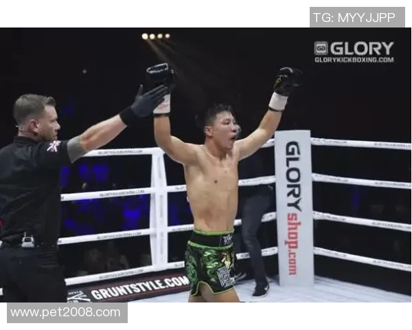 赛格东与江佟猜的精彩对决谁能笑到最后揭晓胜负之谜