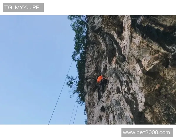 西安攀岩队的奋斗历程与成长故事全景纪实