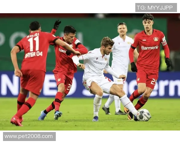 霍芬海姆与杜塞尔多夫的激烈对决前瞻分析及比赛预测