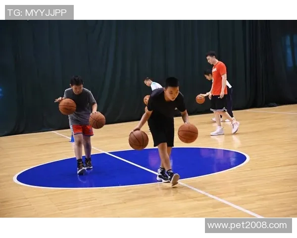 篮球明星Shawn的传奇之路与篮球梦想的追逐历程揭秘