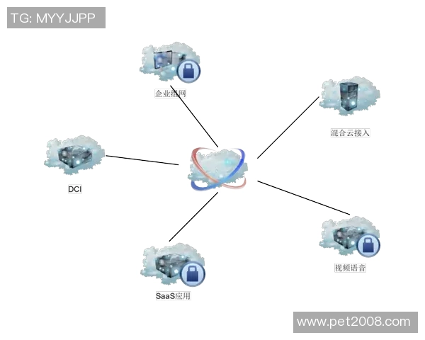 杭州乒乓球队节奏表现的数据分析与战术优化探讨