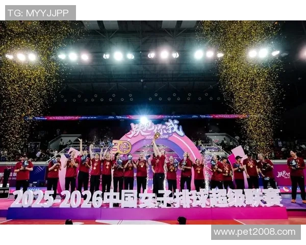 排球巨献：深入解析上海排球队员的个人技能与战术配合