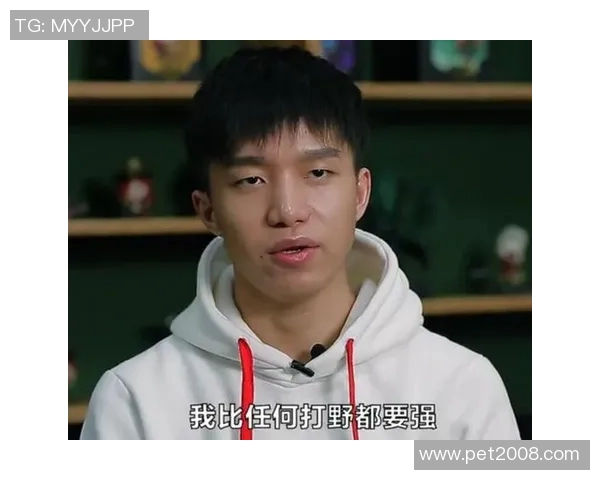 EDG中路突破分析:战术调整与比赛表现的得失评估 EDG中路突破分析:战术调整与比赛表现的得失评估